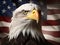 Bald eagles portrait in front of American flag