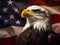 Bald eagles portrait in front of American flag