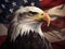 Bald eagles portrait in front of American flag