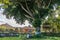 Bale, altar and big holy tree near Balinese Hindu temple at Buruan, Bali, Indonesia