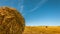 Bale of dry golden straw on the left in the foreground. Agricultural field after harvesting cereals under a clear blue sky.