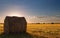 Bale field landscape