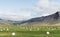 Bale of fodder grass wrapped in white plastic lying on the field in Iceland