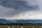 Bale of fodder grass wrapped in white plastic lying on the field during stormy cloud in Iceland.