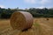 Bale of hay in the Molise countryside