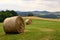 Bale of hays on meadow field on hillside