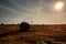 Bale of straw against the sun in the field, silhouette of a stork in flight