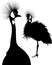 Balearica regulorum. Vector silhouette of standing Crowned Crane. The Cranes. birds