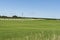 Baled hay in distant rows across farm field