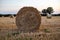 Baled wheat field with big hay rolls