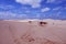 Baleia Ze do Lago Icarai: The sand dunes at the coast of Maranhao