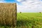 Bales of alfalfa in the field in summer