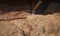 Bales of dry, golden hay lie in a wooden barn under a canopy.