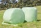 Bales of green crop silage, wrapped up in white plastic for storage.