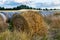 Bales of hay on a Barley field in Wanaka Otago New Zealand