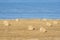 Bales of Hay in the Field 2