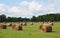 Bales of hay in field