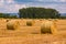 Bales of hay in a field in front of some trees after the harvest in summer