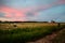 Bales of hay in field with pink sky and barn sunset scenic landscape