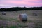 Bales of hay in field with pink sky landscape