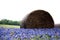 Bales of hay in a field of wildflowers