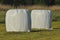 Bales of hay lying on the meadow during haymaking. River Valley