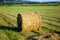 Bales of hay on a medow