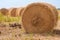 Bales of hay in paddy fields after harvest