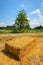 Bales hay panorama landscape sun light strong contrast Po Valley