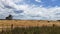 Bales of hay scattered across a paddock under blue sky with white clouds