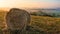 Bales of hay on a summer fields at sunrise in Tuscany