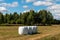 Bales of silage covered in white agricultural stretch films on grass under sunlight