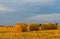 Bales of straw on a compressed field