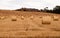 Bales of straw on a field