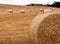 Bales of straw on a field