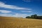 Bales of straw in a wheat field.