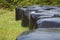 Bales of straw wrapped up in black plastic over a green field in summer, Galicia, northern Spain.