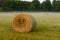 Bales in a summer meadow. Thick fog surrounds them