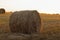 bales of wheat hay straw stacked in a heap in stubble field on a summer evening. Straw bales on farmland with blue