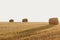 bales of wheat hay straw stacked in a heap in stubble field on a summer evening. Straw bales on farmland with blue