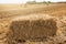 Bales of yellow straw lie in the field, one bale closeup, harvesting concept