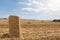 Bales of yellow straw are scattered across the field, agricultural landscape, one bale close-up and a blue sky with