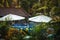 Bali hotel swimming pool in tropical Ubud forest area among tropical plants and trees as travel tropical lifestyle