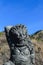 Bali, Indonesia. 5 OCT 2018. Scary looking traditional Bali island stone sculpture in front of the blue sky background