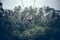 BALI, INDONESIA - DECEMBER 26, 2017: Man having fun on the swing with action camera in the jungle of Bali island