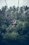 BALI, INDONESIA - DECEMBER 26, 2017: Man having fun on the swing with action camera in the jungle of Bali island