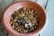 Bali, Indonesia.: Kopi Luwak coffee berries in red terracotta bowl on wooden trestle table