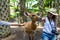 Bali, Indonesia - March 22, 2018: Women feeding deer in Bali Zoo.