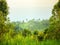 Bali landscape with green fields