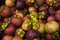 Bali Mangosteen fruits